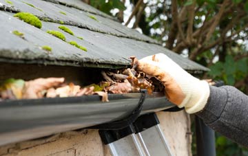 gutter cleaning Tyganol, The Vale Of Glamorgan