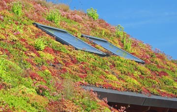 Tyganol living roof systems